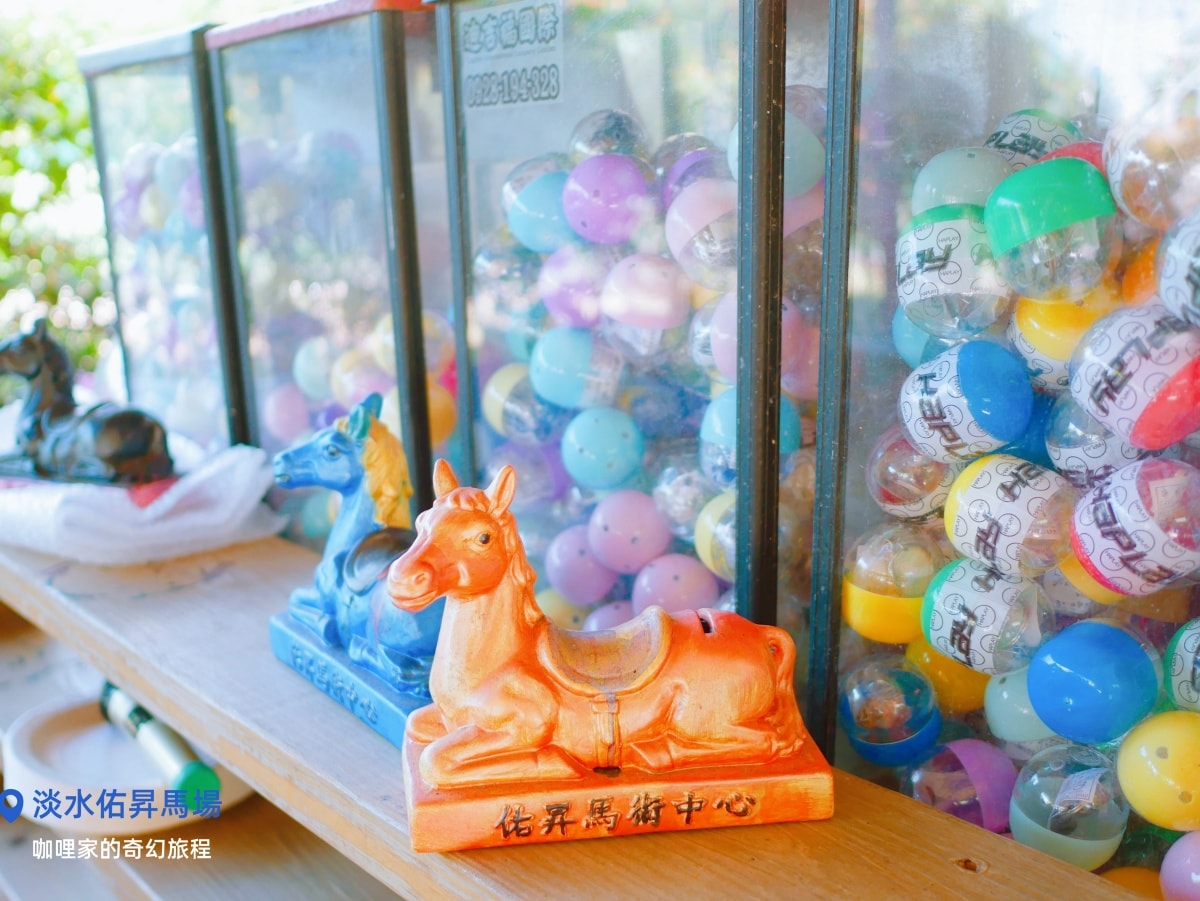 淡水佑昇馬場:一個適合慶生、騎馬與親近小馬的樂園,馬術愛好者必來 - 第6張圖