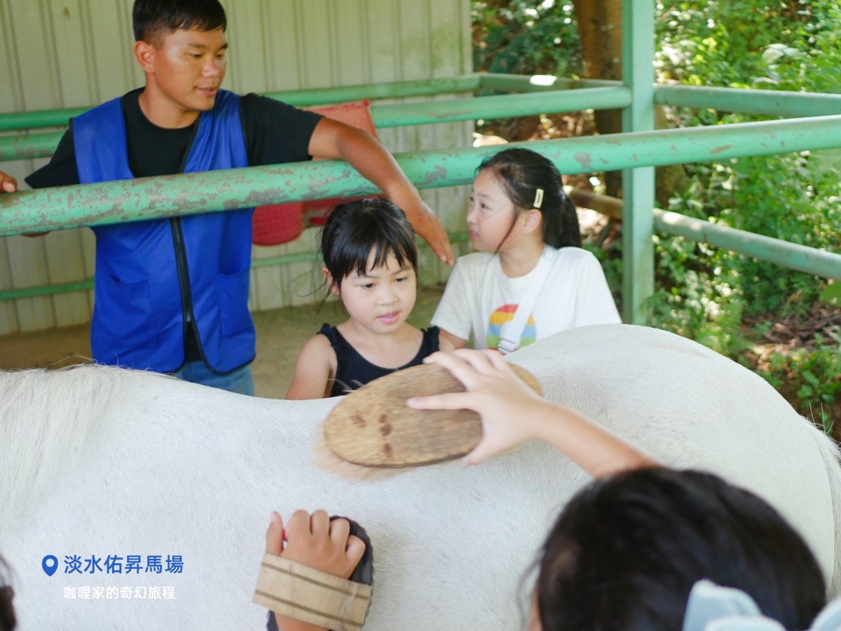 淡水佑昇馬場:一個適合慶生、騎馬與親近小馬的樂園,馬術愛好者必來 - 第18張圖