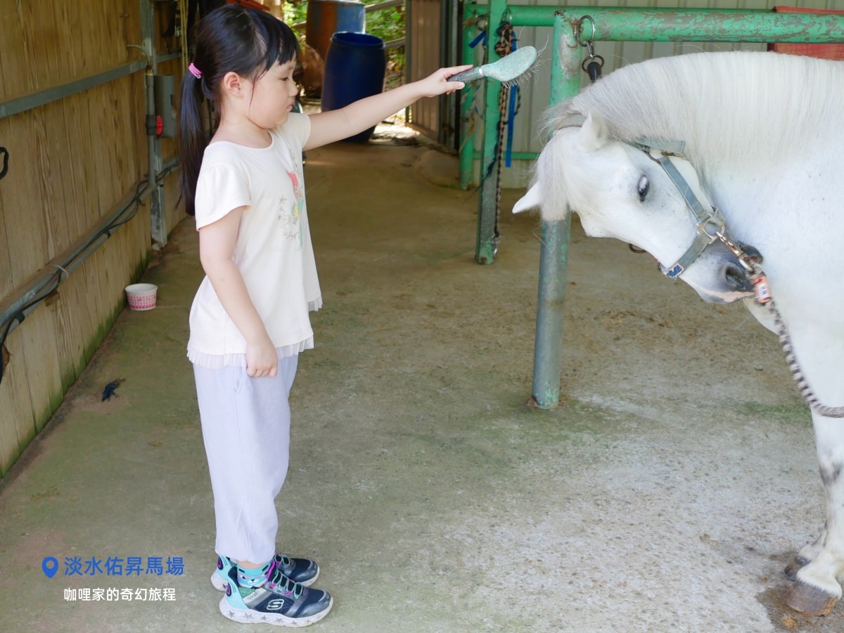 淡水佑昇馬場:一個適合慶生、騎馬與親近小馬的樂園,馬術愛好者必來 - 第17張圖