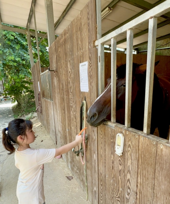 淡水佑昇馬場:一個適合慶生、騎馬與親近小馬的樂園,馬術愛好者必來 - 第16張圖