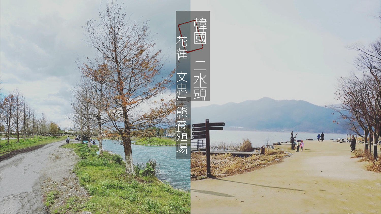 花蓮新景點|文忠生態養殖場|google都還找不到喔!不能去韓國紐西蘭就到這裡拍韓劇吧!(可搭配清心放牧雞蛋場撿雞蛋) - 第6張圖