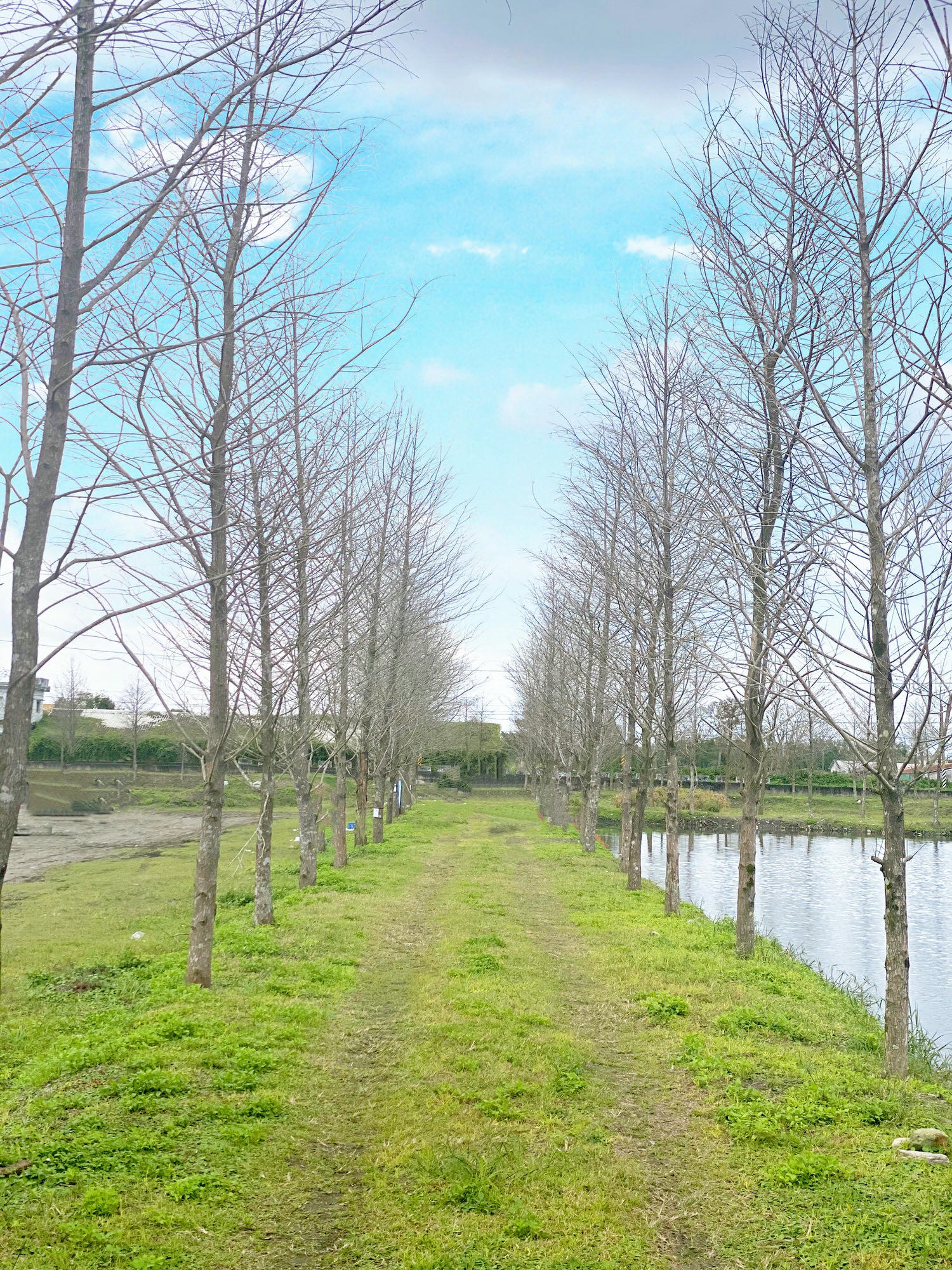 花蓮新景點|文忠生態養殖場|google都還找不到喔!不能去韓國紐西蘭就到這裡拍韓劇吧!(可搭配清心放牧雞蛋場撿雞蛋) - 第9張圖